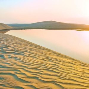 Doha Half day Desert Safari || Camel Ride || Sand Boarding || Inland sea