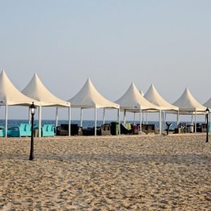 Full day desert safari