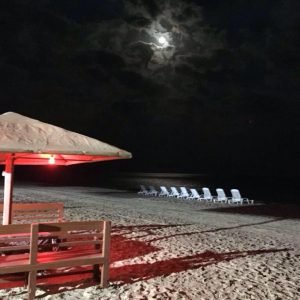 Overnight Desert Safari
